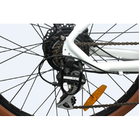 Universal Electric Bicycle 250W 36V 10.4Ah Li-Ion Battery Sw-Lcd Display Hydraulic Brakes 26X2.10 Ladies