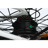 Universal Electric Bicycle 250W 36V 10.4Ah Li-Ion Battery Sw-Lcd Display Hydraulic Brakes 26X2.10 Ladies