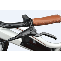 Universal Electric Bicycle 250W 36V 10.4Ah Li-Ion Battery Sw-Lcd Display Hydraulic Brakes 26X2.10 Ladies
