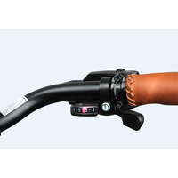 Universal Electric Bicycle 250W 36V 10.4Ah Li-Ion Battery Sw-Lcd Display Hydraulic Brakes 26X2.10 Ladies