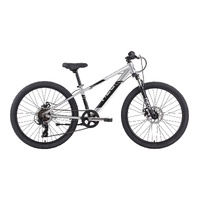 Apollo Neo+ 24 7s - Brushed Alloy