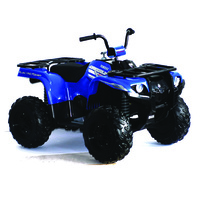 Yamaha Grizzly 24 Volt Ride On Boys