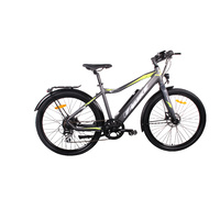 Universal Electric Bicycle 250W 36V 10.4Ah Li-Ion Battery Sw-Lcd Display Hydraulic Brakes 26X2.10 Gents