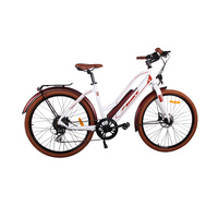 Universal Electric Bicycle 250W 36V 10.4Ah Li-Ion Battery Sw-Lcd Display Hydraulic Brakes 26X2.10 Ladies